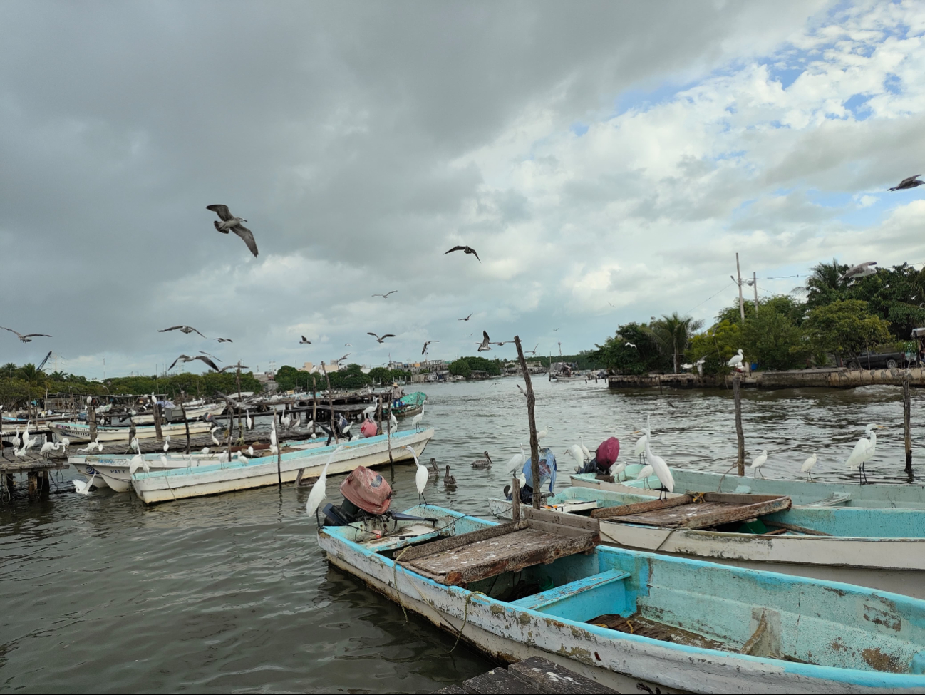 Programa de financiamiento "Pesquero y Acuícola" de Bancampeche