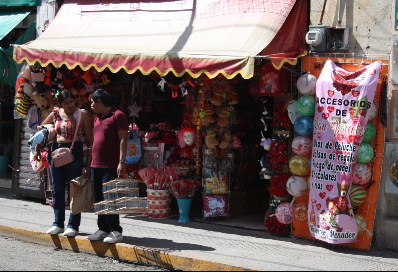 Capibaras se roban la atención del Día de San Valentín en Mérida