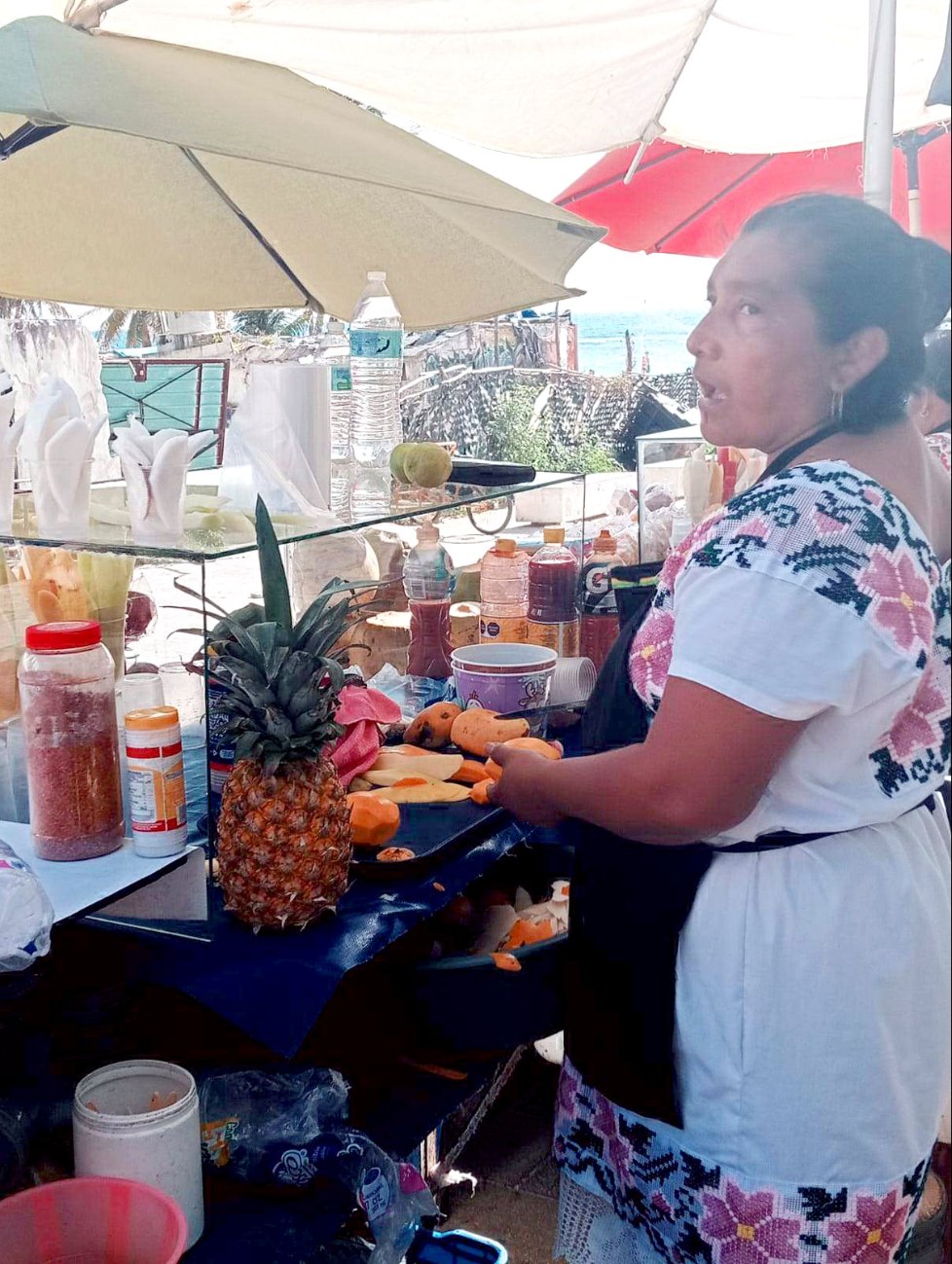  Mujeres indígenas dan  color y sabor al  Parque Fundadores con venta de frutas