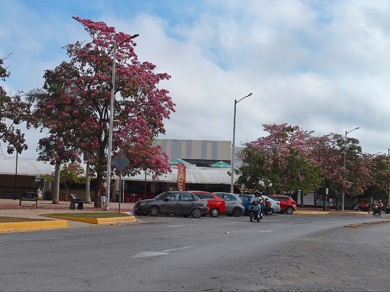 Se encuentran en varias zonas de Campeche, como el barrio de Guadalupe y la Avenida Miguel Alemán