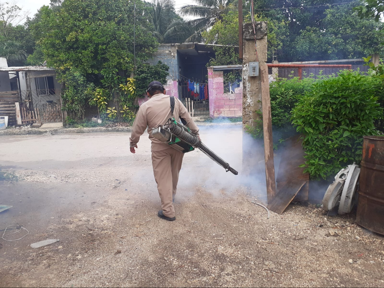 Emiten alerta por incremento de dengue en Ciudad del Carmen   