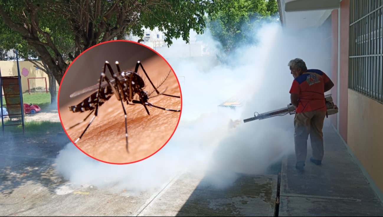 Alerta de dengue en Ciudad del Carmen: Confirman siete casos y dos hospitalizados