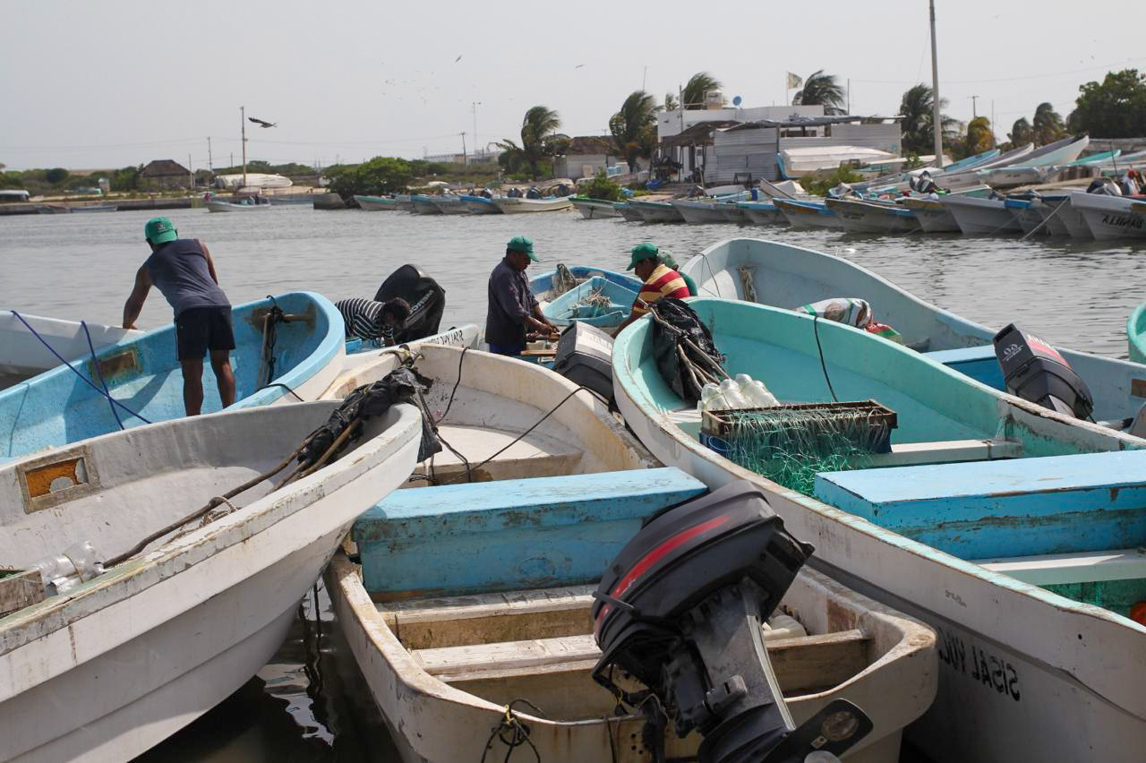 Desde mañana, se repartirán unos 65 millones de pesos entre 12 mil trabajadores del mar en Yucatán