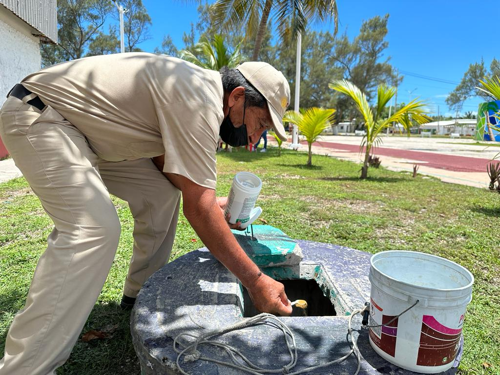 El ciclo de vida del mosco se detiene con bajas temperaturas, pero se reactivará con el calor