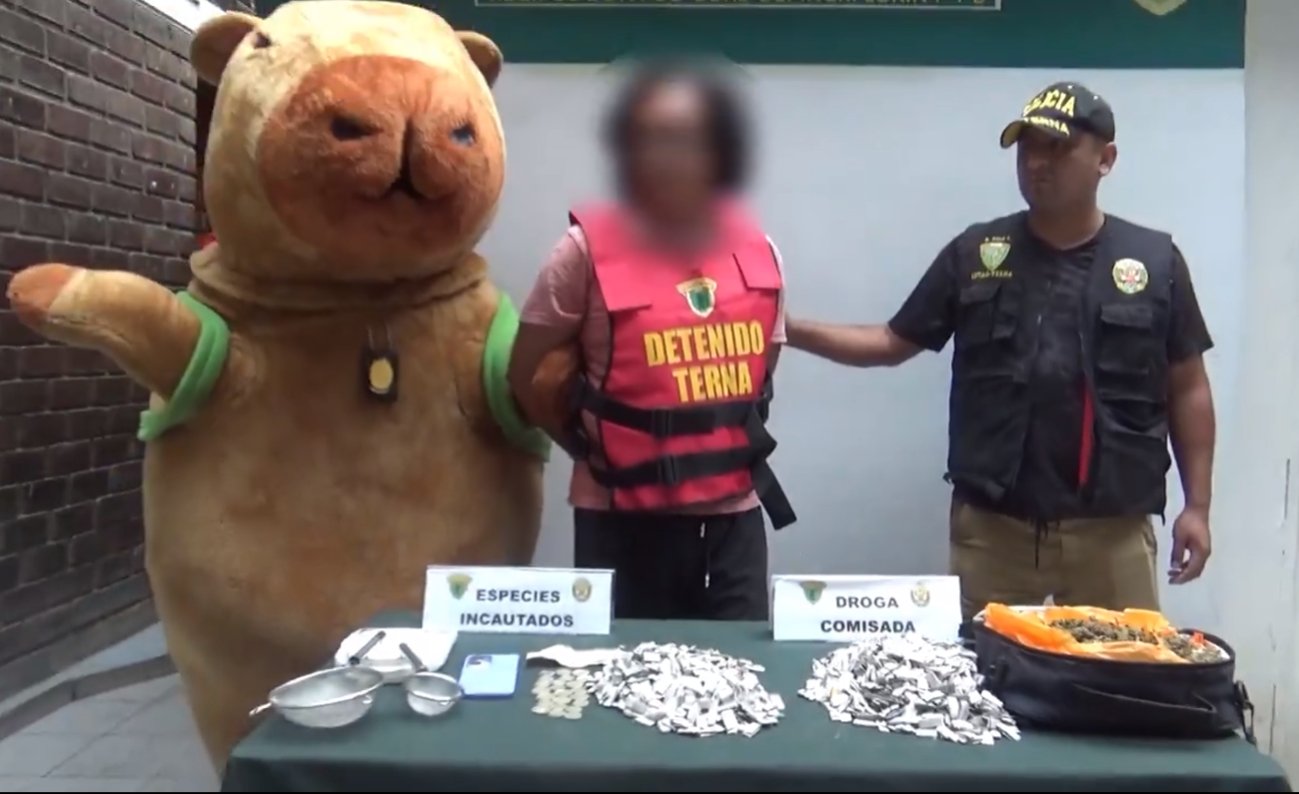 Disfrazado de capibara detiene a un narcotraficante en Perú