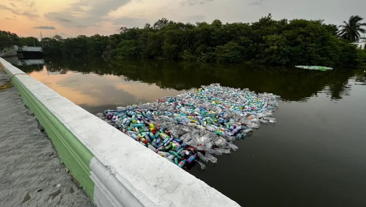 Juez federal ordena suspensión de vertimiento de aguas sin tratar en La Caleta