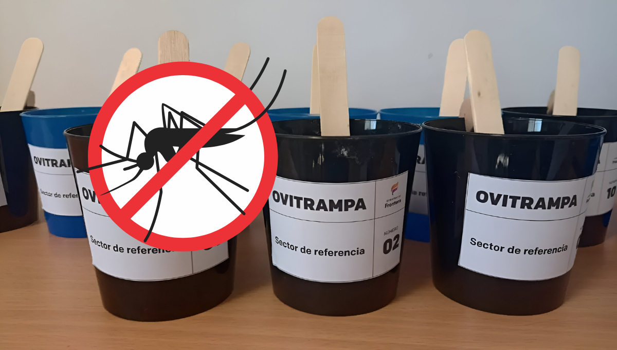 Ovitrampas en Ciudad del Carmen; ¿Qué son y cómo ayudan a prevenir brotes de dengue? 