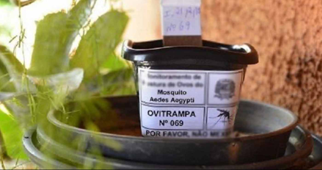 Son recipientes con agua que atraen hembras de mosquito para monitorear su actividad