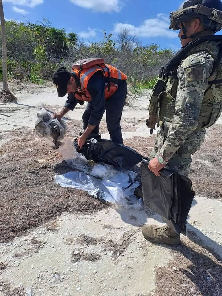 Personal naval asegura en manglares de Dzilam de Bravo utensilios para cocinar especies en veda