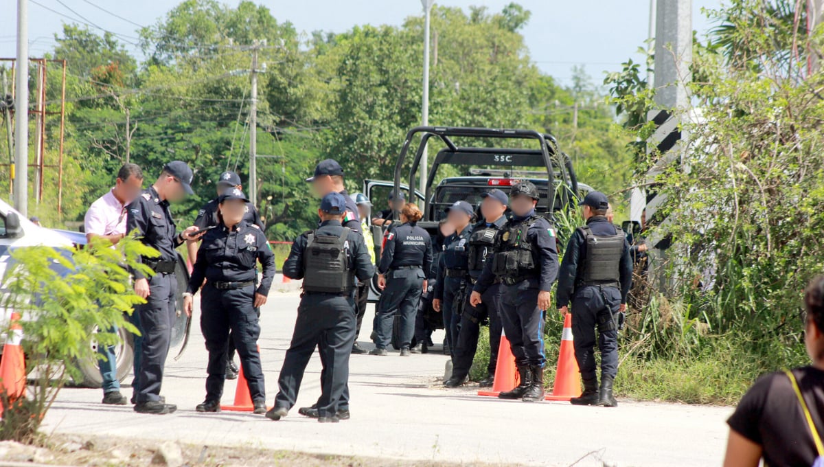 Inseguridad no disminuye: Quintanarroenses opinan sobre la violencia en el estado