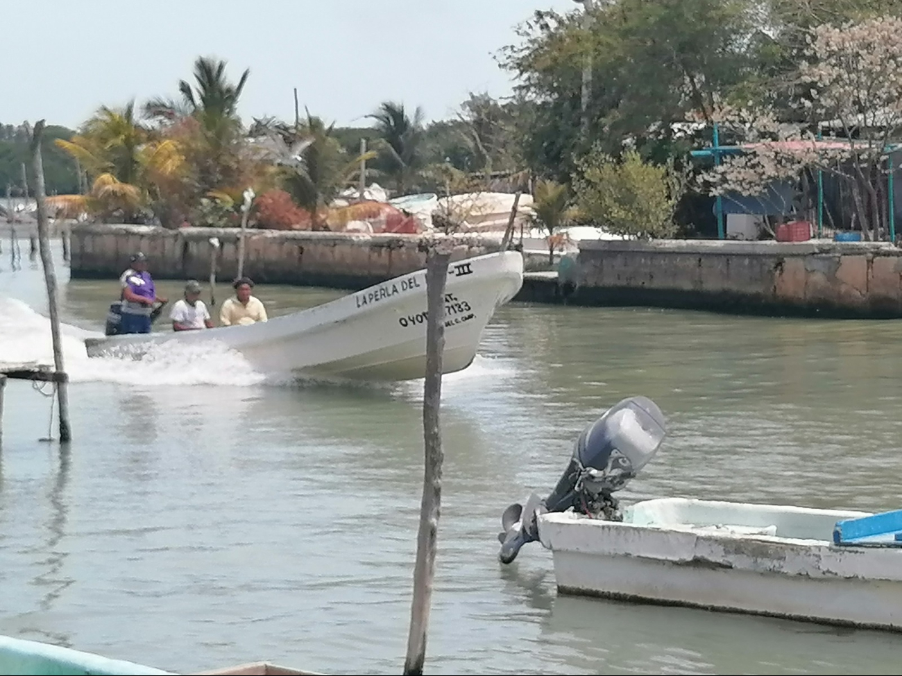 La constante caída en la cifras de capturas de especies de escama y mariscos ha dejado a los ribereños imposibilitados para pagar permisos y contribuciones