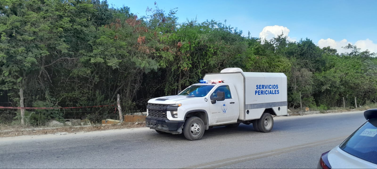 Encuentran osamenta durante operativo de búsqueda en colonia irregular Isla Mujeres de Cancún 