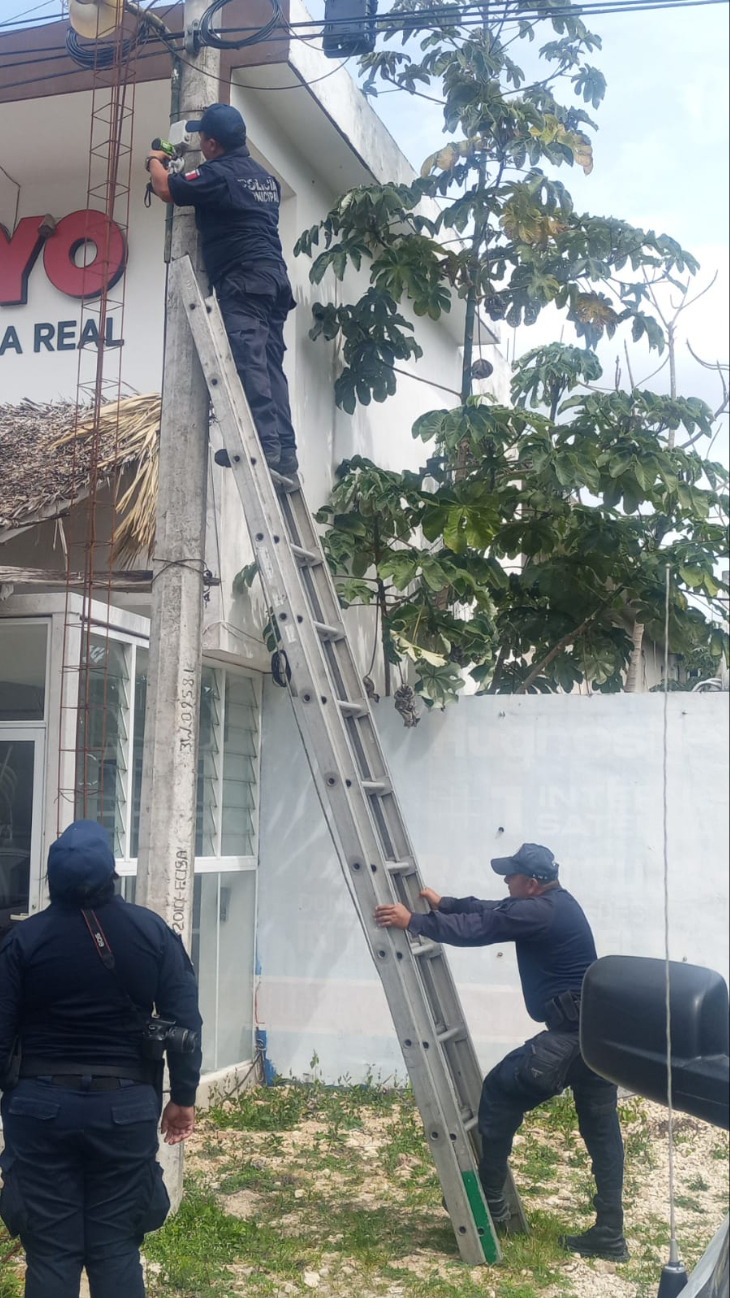 Autoridades analizarán el material recopilado