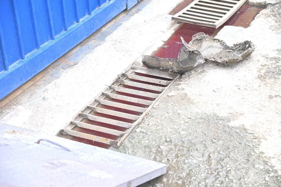 Suspensión de Matadero de Aves en Colonia Potrero por Contaminación