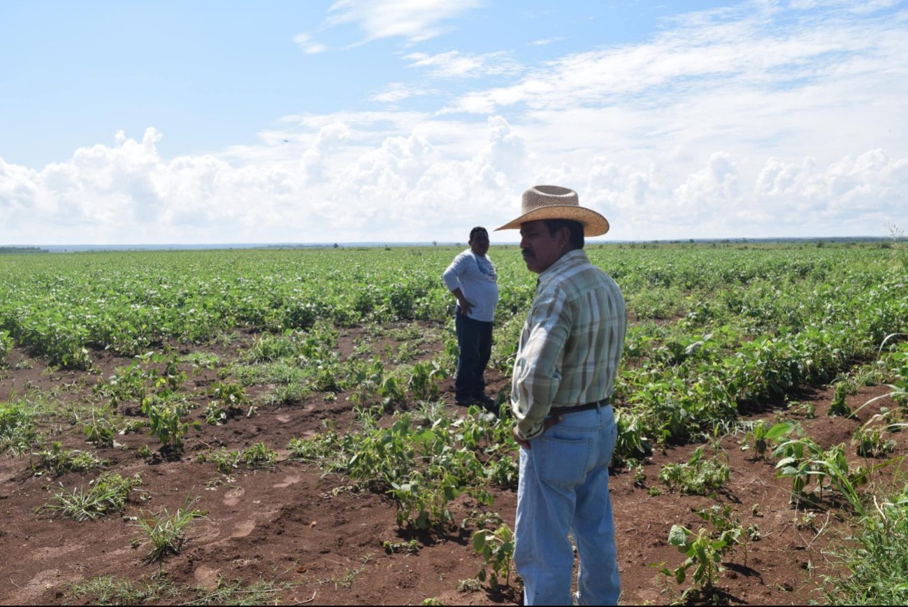 Ernesto Cruz González Denuncia Abandono del Campo Mexicano