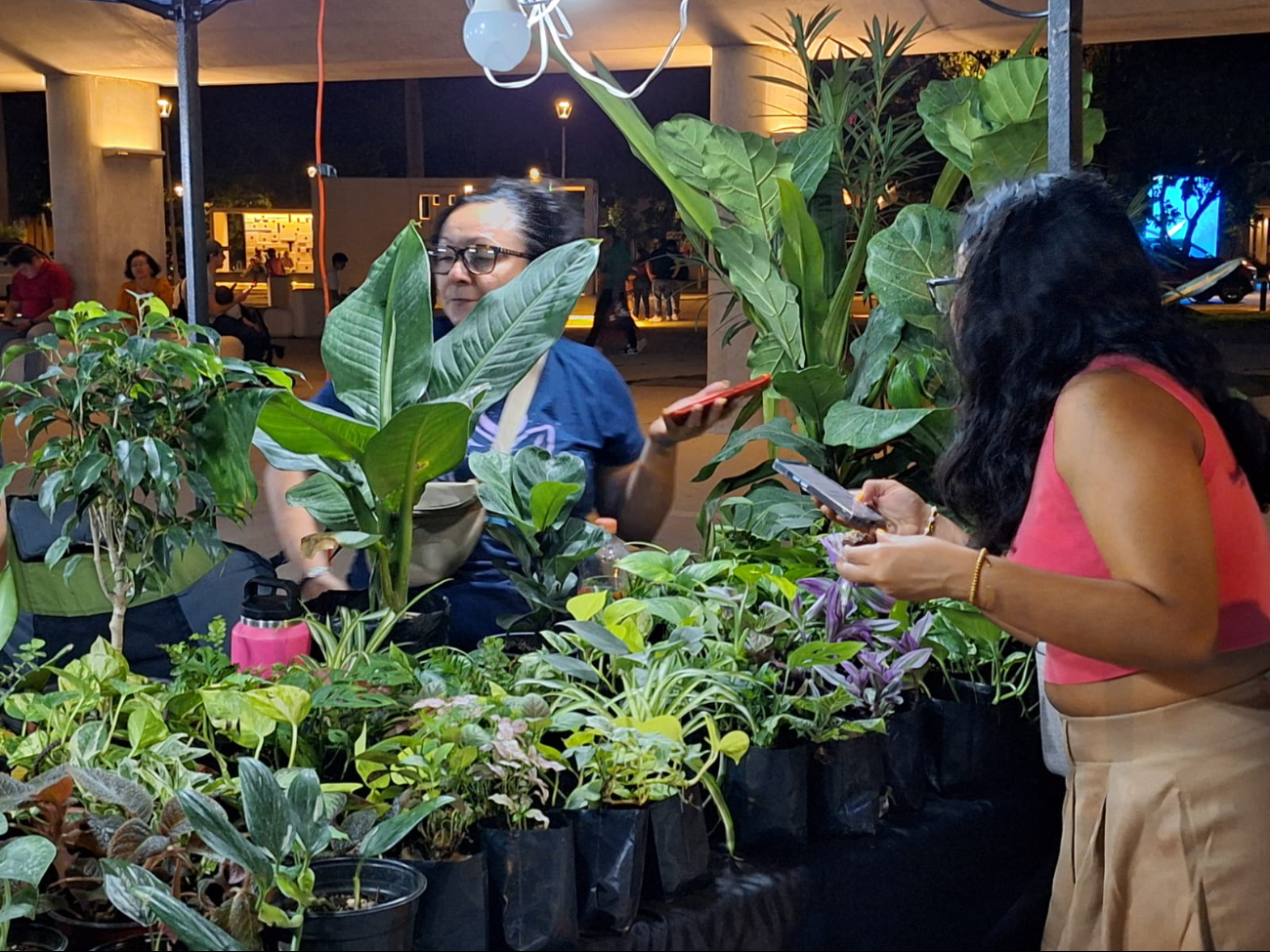 Expositores también ofrecieron gran variedad de plantas