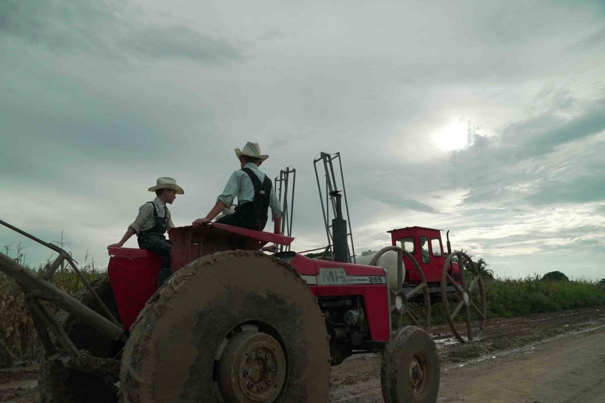 Niegan venta de terrenos a familias menonitas para evitar deforestaciones en  Chetumal