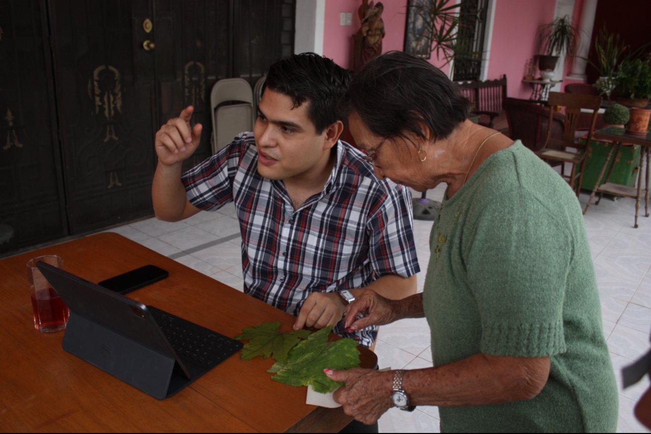 Vecinos señalaron que el trigo igual ha dañado sus plantas