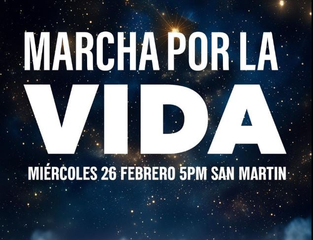 Marchan Pro-Vida