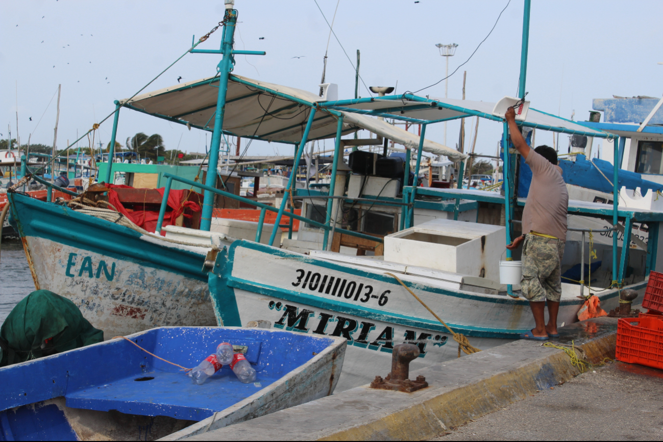 Ante el inicio del período de veda del crustáceo, los hombres de mar reportan buenos resultados