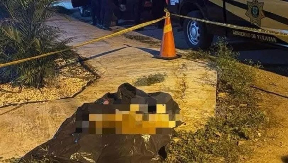 Hombre le habría causado la muerte a un perro en Mérida tras golpearlo con un palo