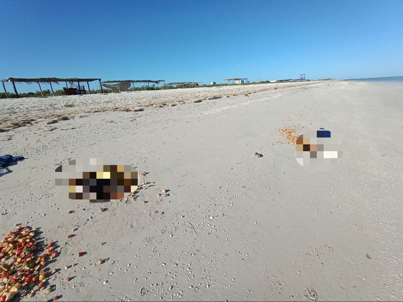 Hallan aves muertas en playa de Sisal;  acusan posible ritual  