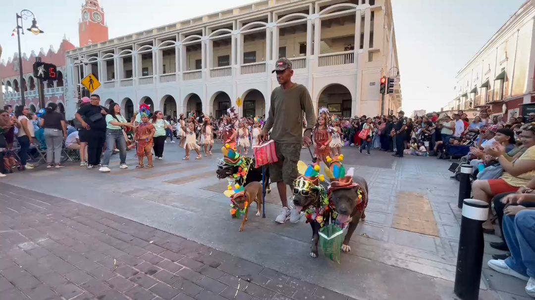 Tayson, Zeus, Thor y Dinky se robaron los aplausos del público durante el desfile infantil del Carnaval de Mérida