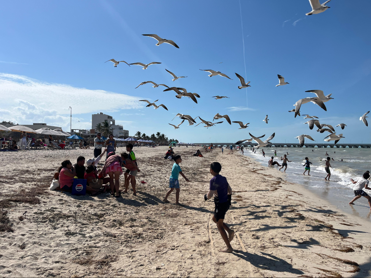 Este primer día inhábil del 2025 dejó gran movilización de turistas en Progreso