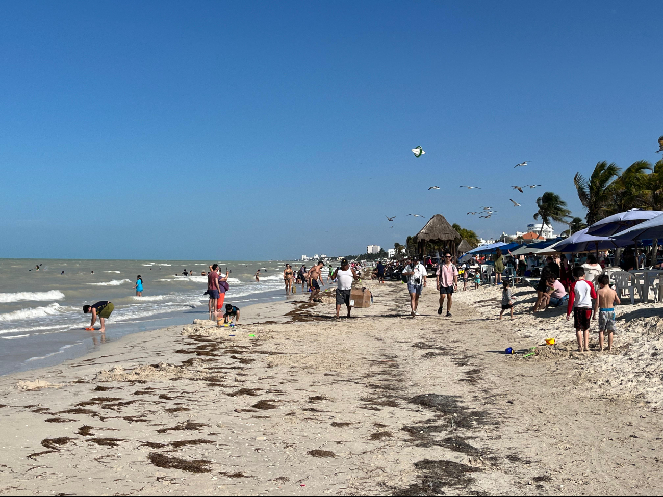 Yucatecos y turistas disfrutaron del día caluroso en Progreso