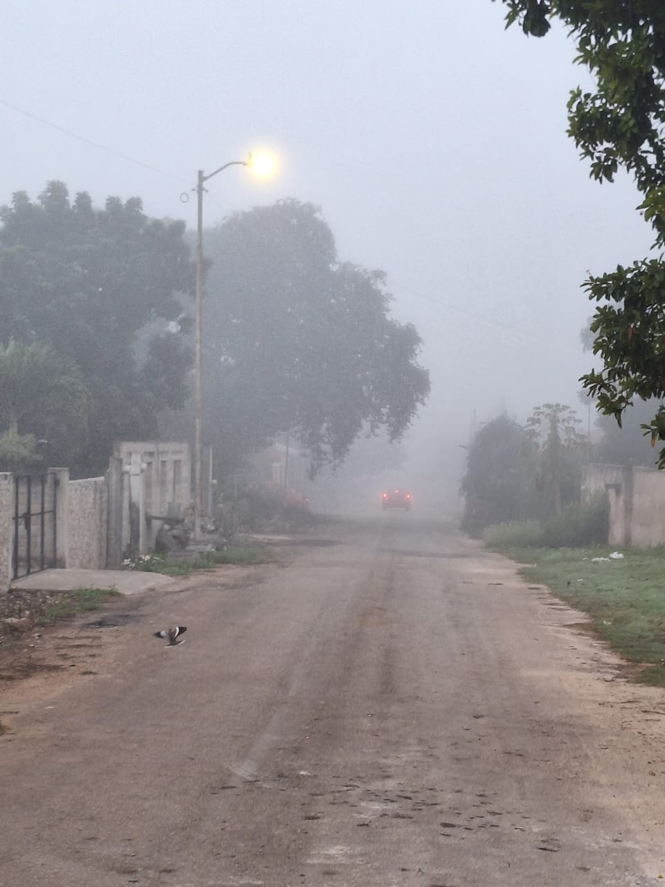 Desde las primeras horas de la mañana se hicieron presencia los bancos de niebla