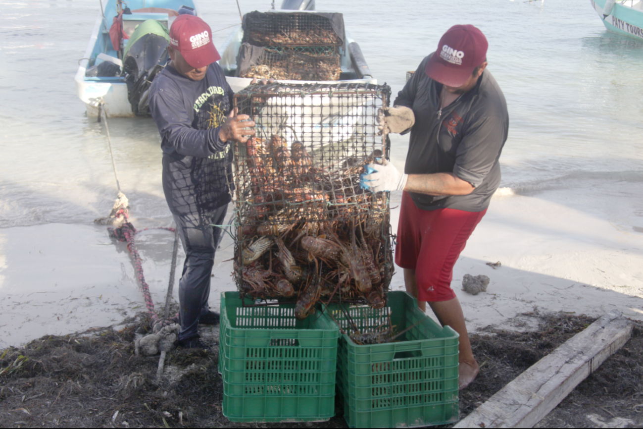 El principal consumidor de mariscos ha sido el vecino país del norte