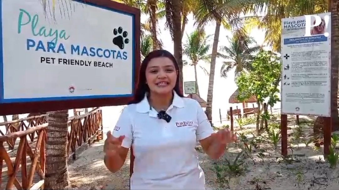 Playa Coral cuenta con espacios para que los perritos puedan disfrutar de su visita de forma amigable