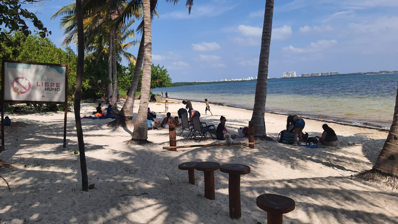 ¡Lleva a tu lomito a conocer el mar! Esta es la única playa pet friendly en todo Cancún 