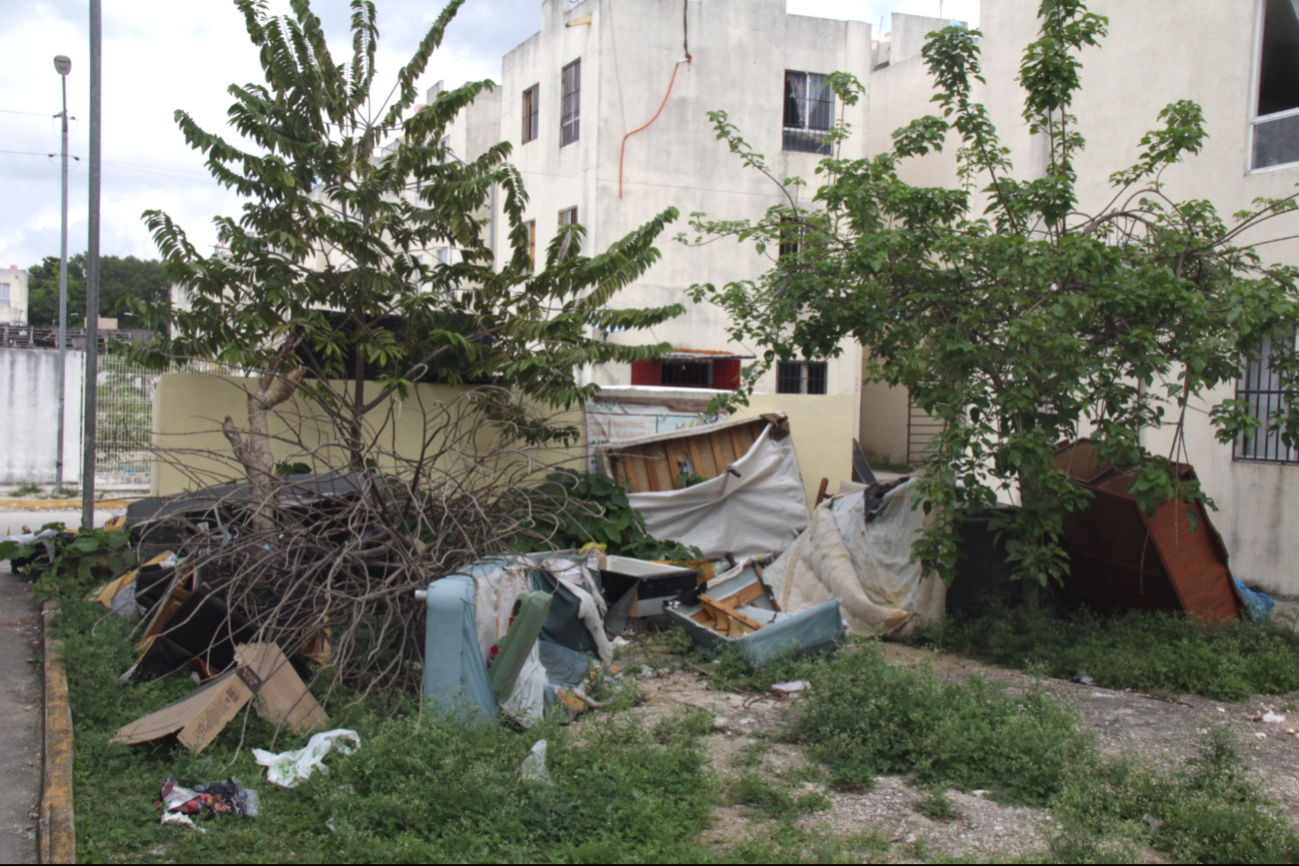 Debido a que la basura no alcanza a ser recolectada, al día siguiente comienza a desprender fuertes olores