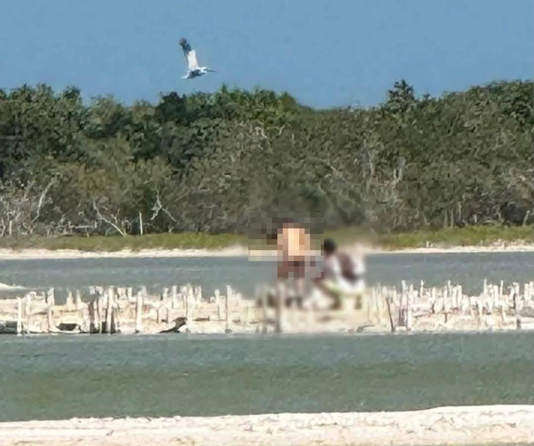 La pareja ha recibido críticas por usar las áreas naturales de Yucatán para este contenido