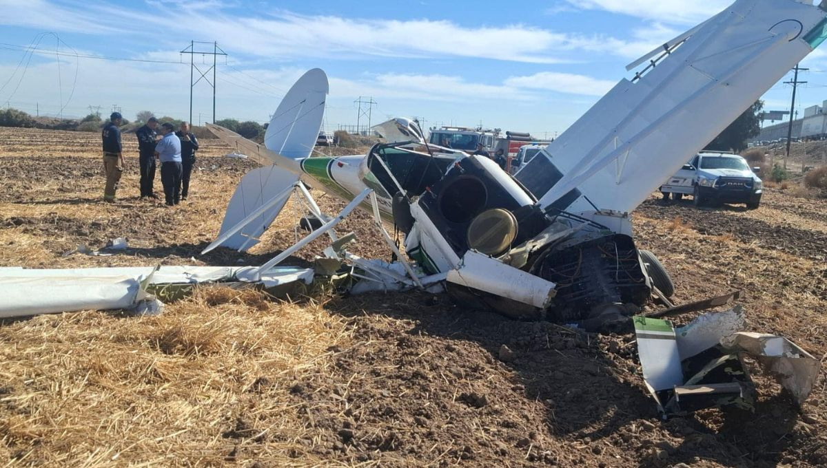 Avioneta de fumigación se desploma en Baja California tras enredarse con cables eléctricos