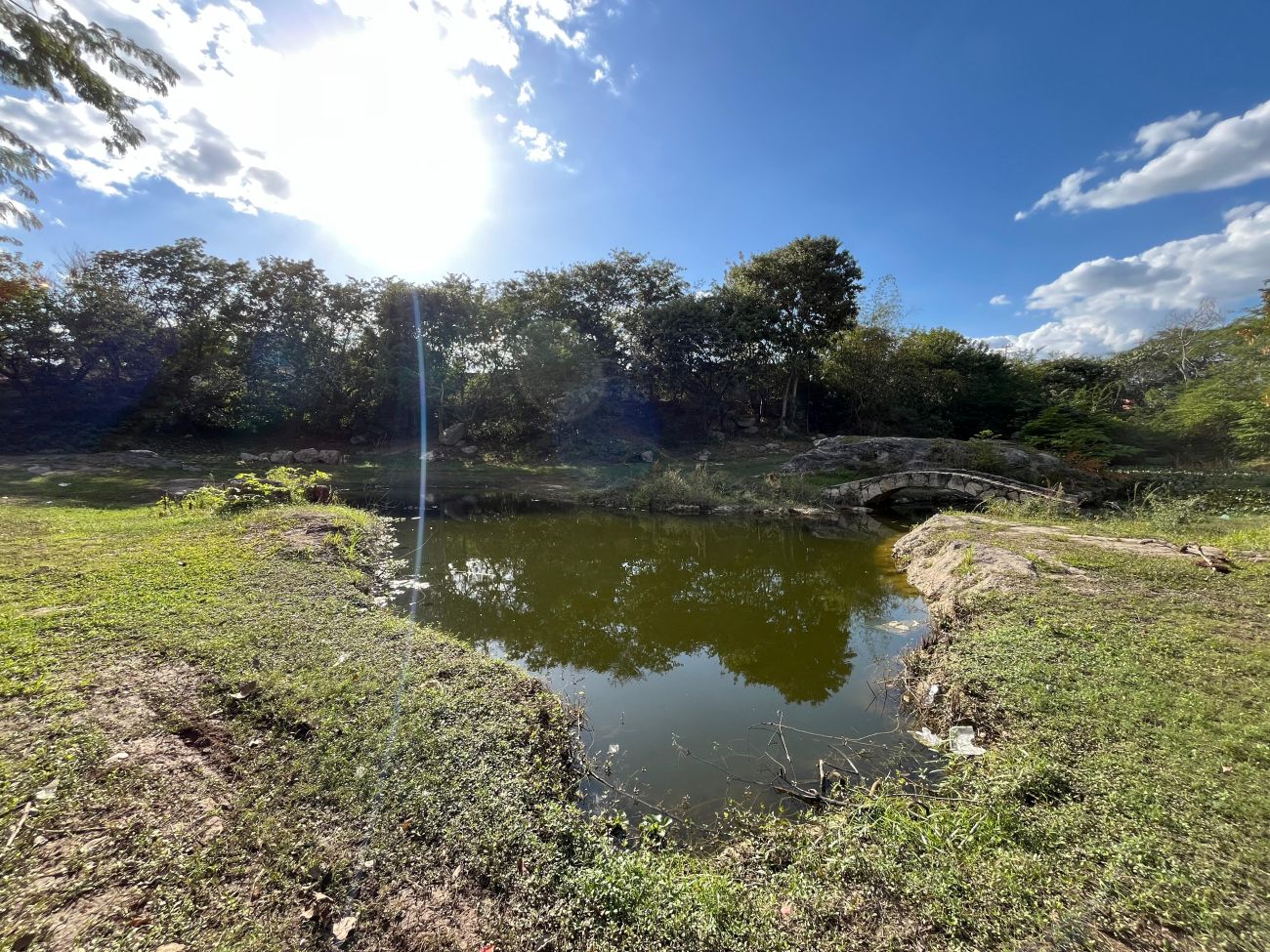 La zona del pequeño lago es la más afectada