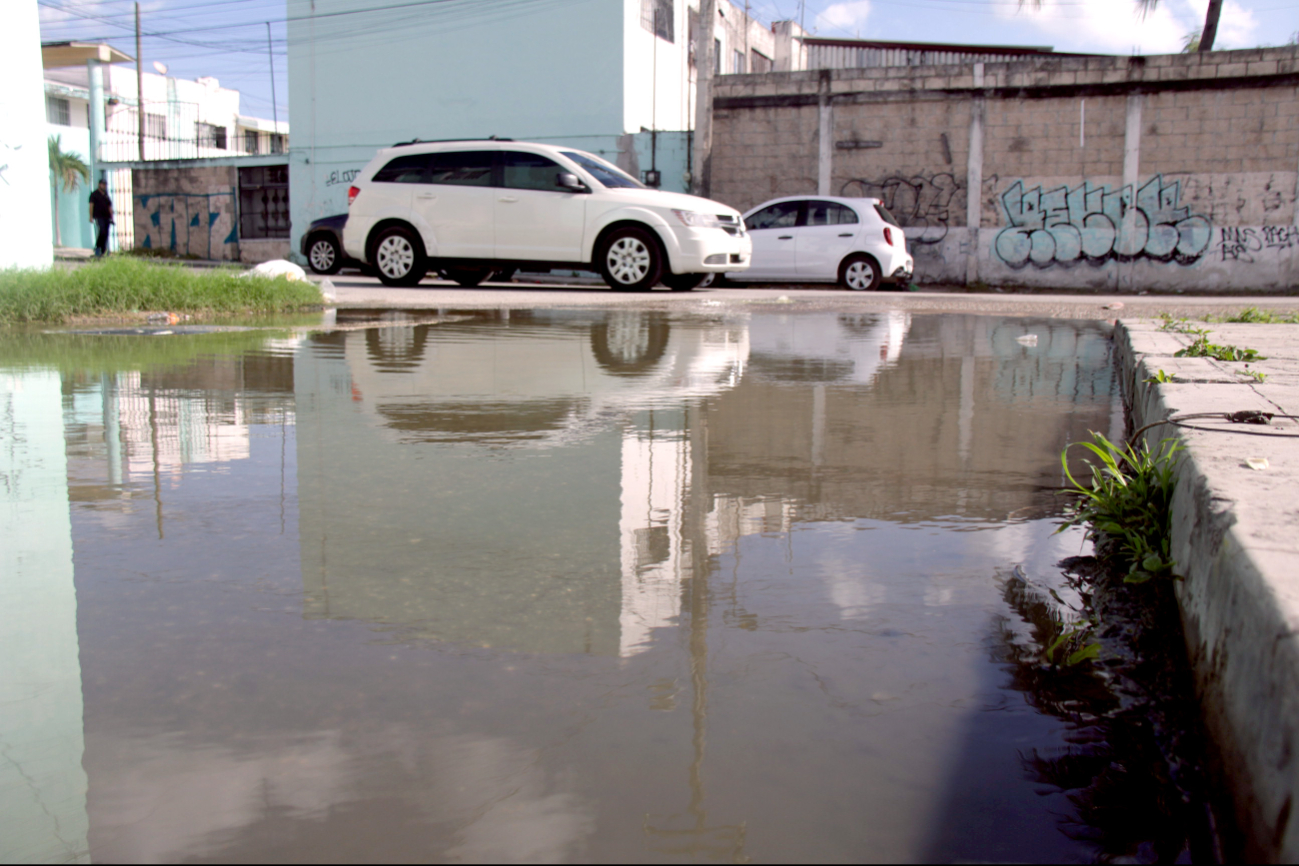 Para evitar enfermedades, los vecinos mantienen su puertas y ventanas cerradas. La molestia crece cada día en la Región 92