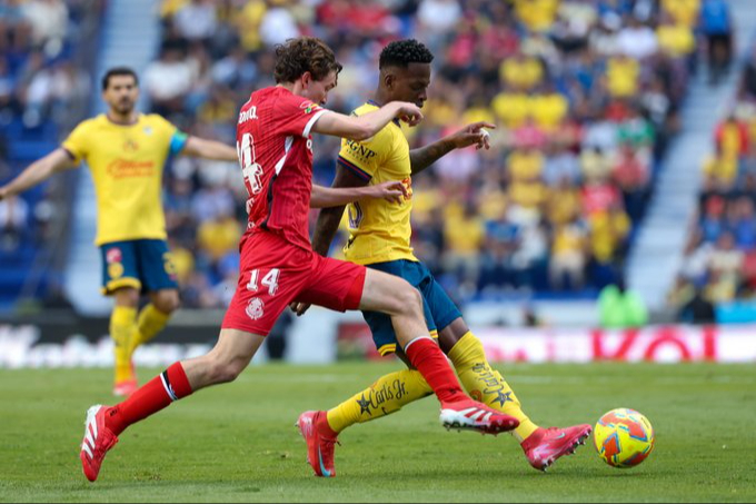 La acciones del partido