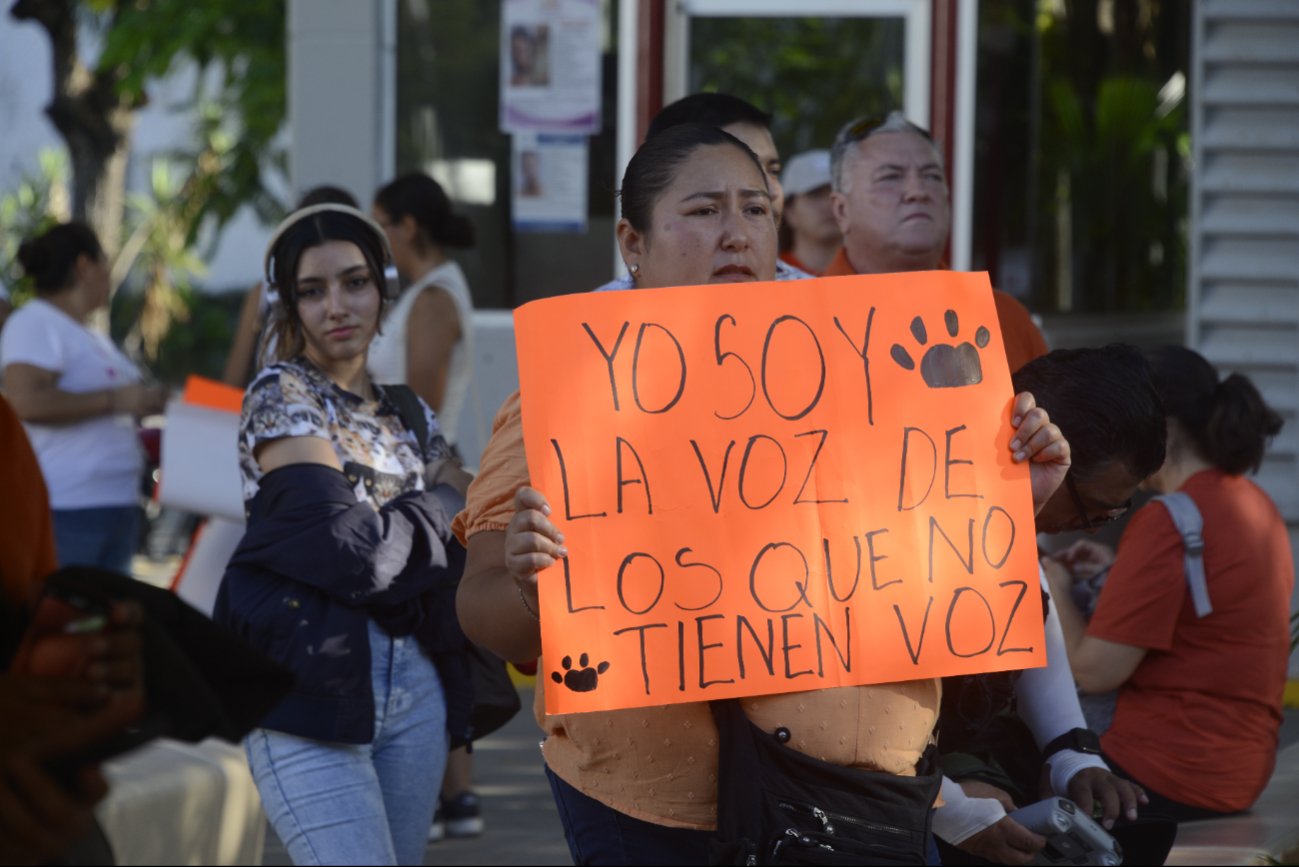 Aunque existe una ley en defensa de los animales, los castigos a agresores no son justos