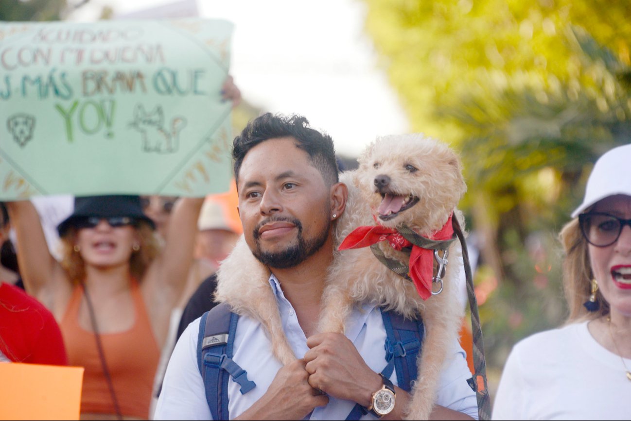 Durante la concentración se expuso que hay asociaciones civiles que lucran con perros