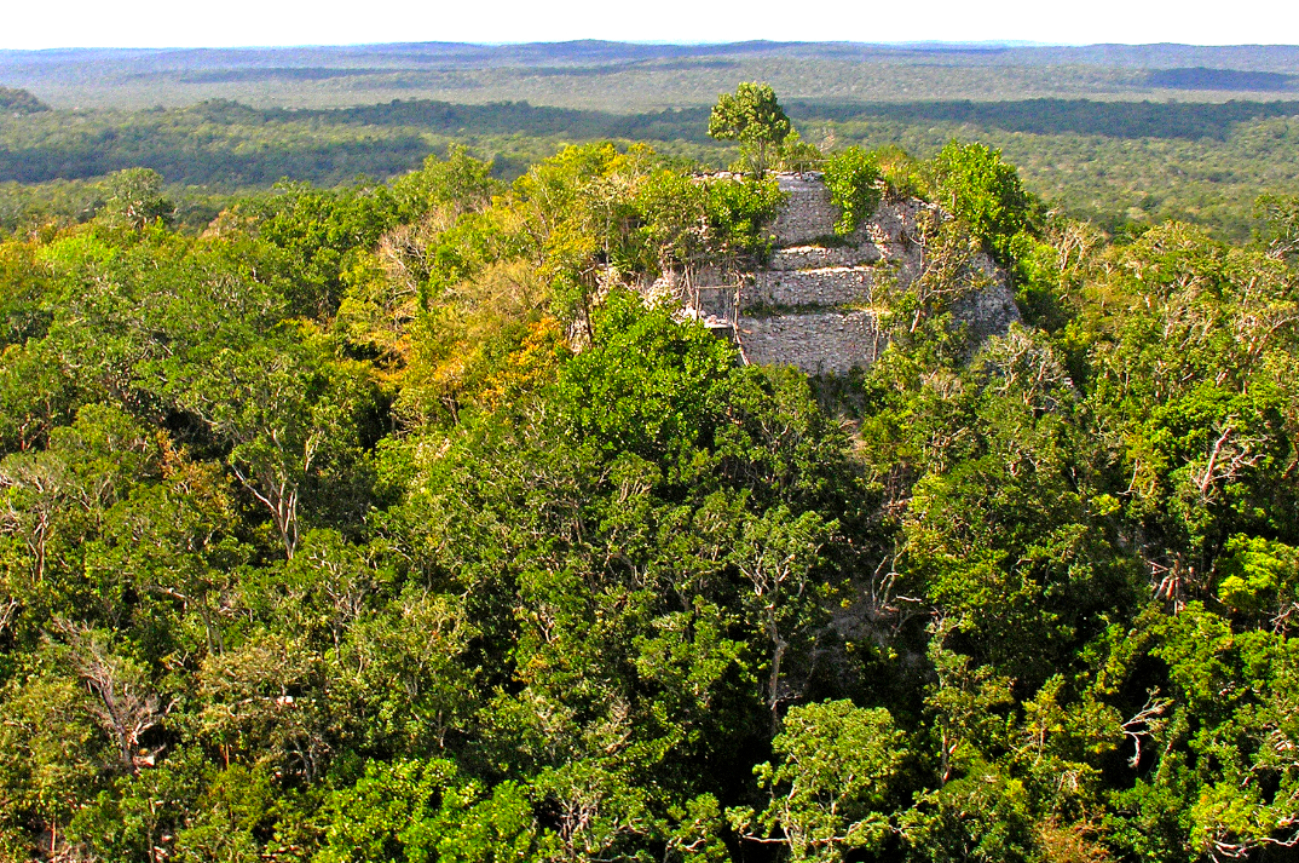 ¡Sorprendente! Así es la pirámide  más grande que construyeron los mayas    