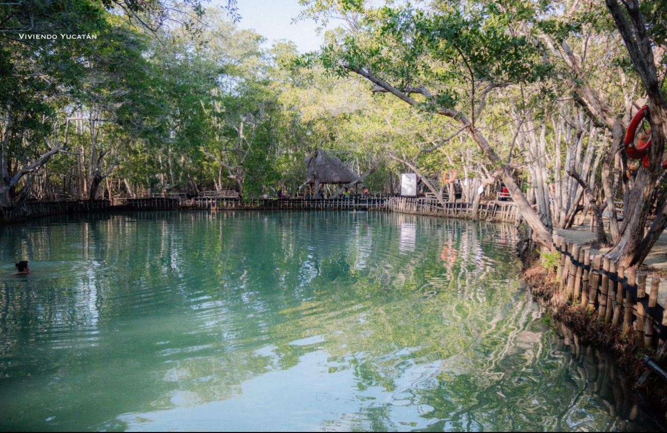   El Corchito, área natural ideal para visitar en Semana Santa en Yucatán: Costos de entrada y ubicación  