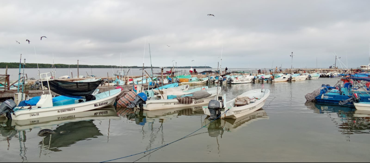 Debido al mal clima, los pescadores deben parar sus actividades entre dos o tres días