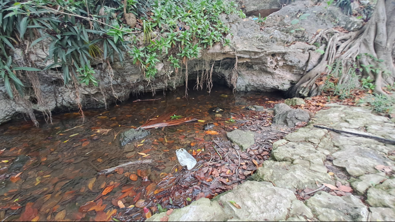 La acumulación de basura forma focos de infección poniendo en riesgo a los habitantes