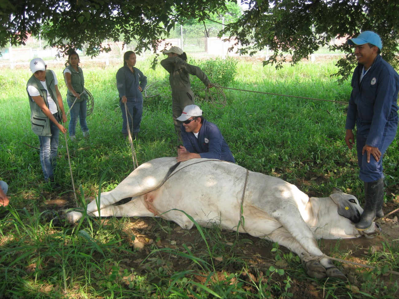 Médicos evaluarán los ranchos cercanos para descartar más casos