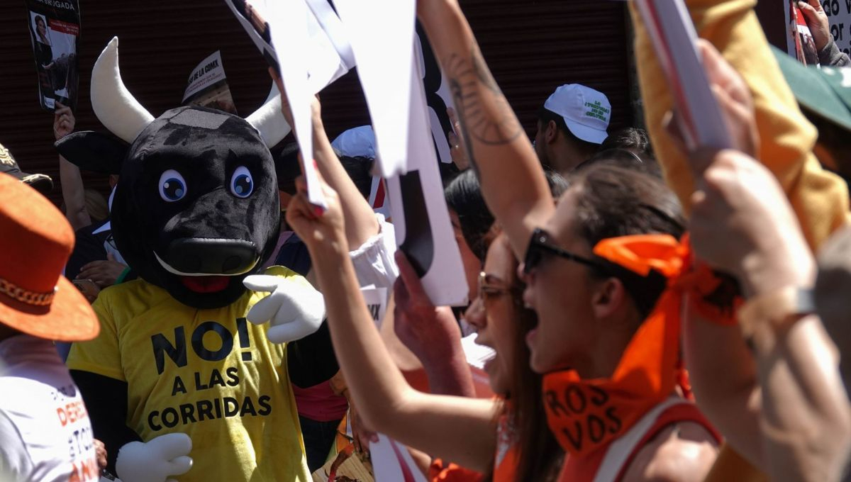 Claudia Sheinbaum respalda corridas de toros sin maltrato animal