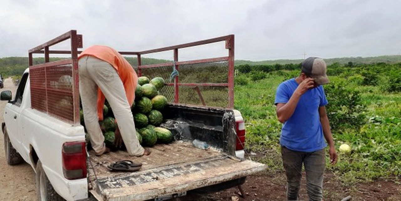 Algunas empresa estafaron y dejaron a los campesinos sin su pago.