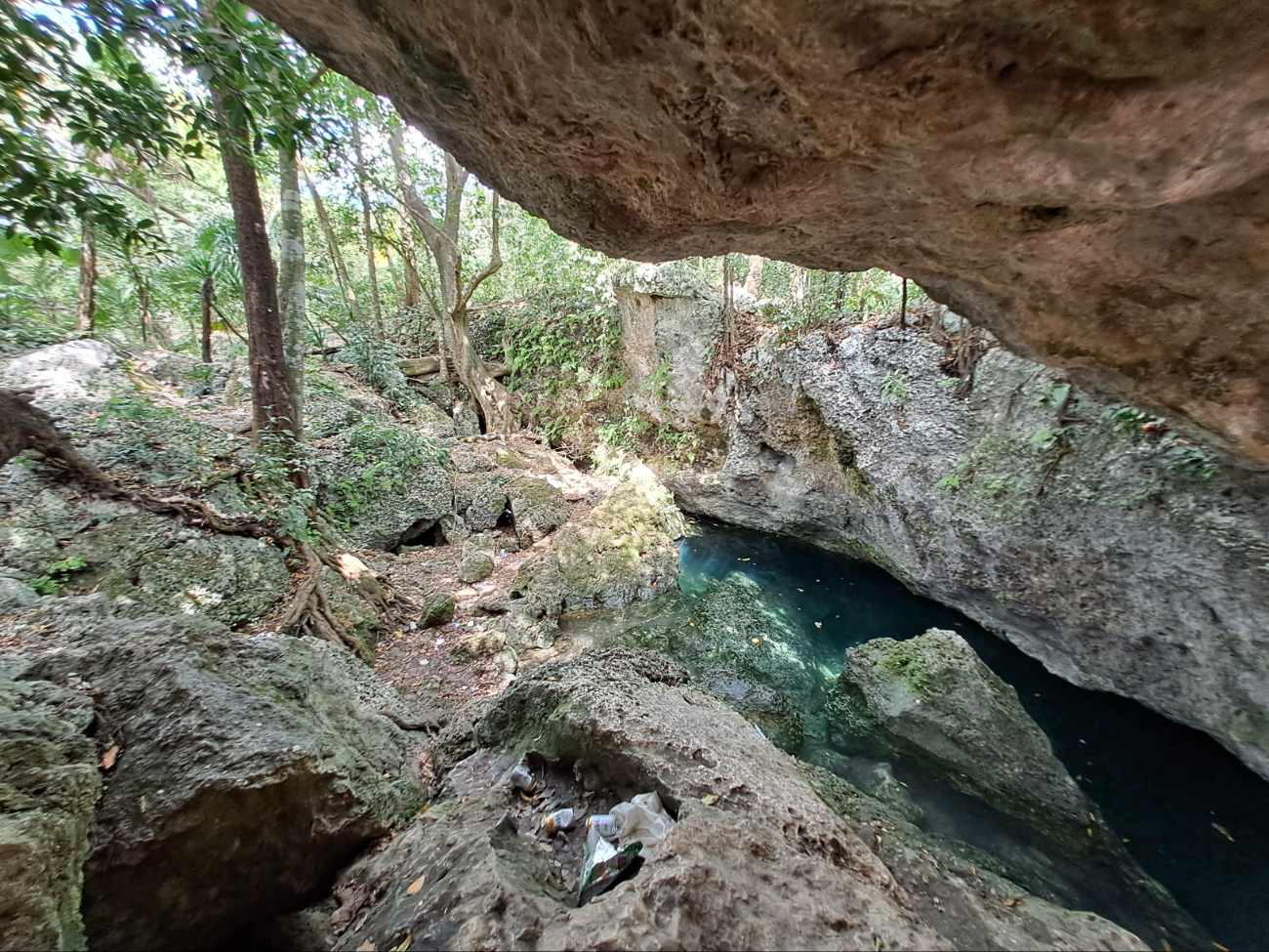 Cenote  Avante en Cancún, un escenario natural contaminado y descuidado por la población 