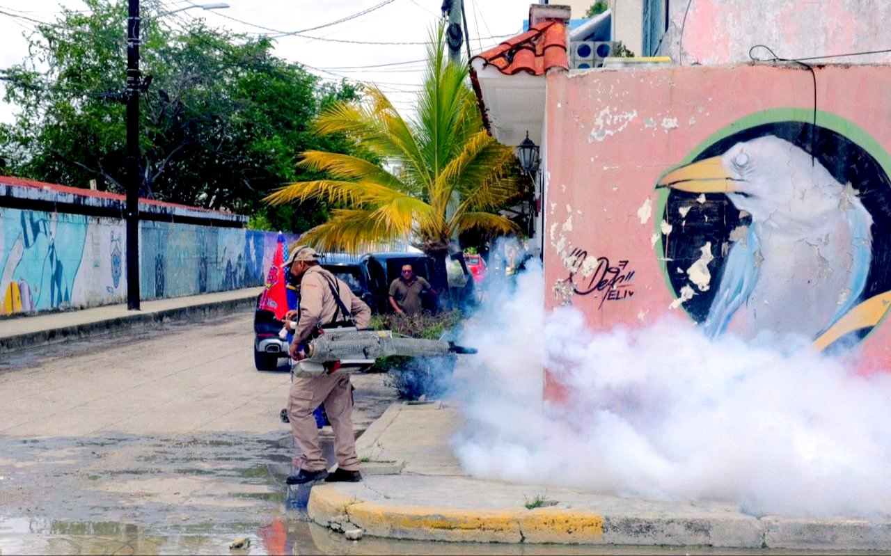 Evitar almacenar agua mucho tiempo, limpiar patios y fumigar, son unas medidas de prevención